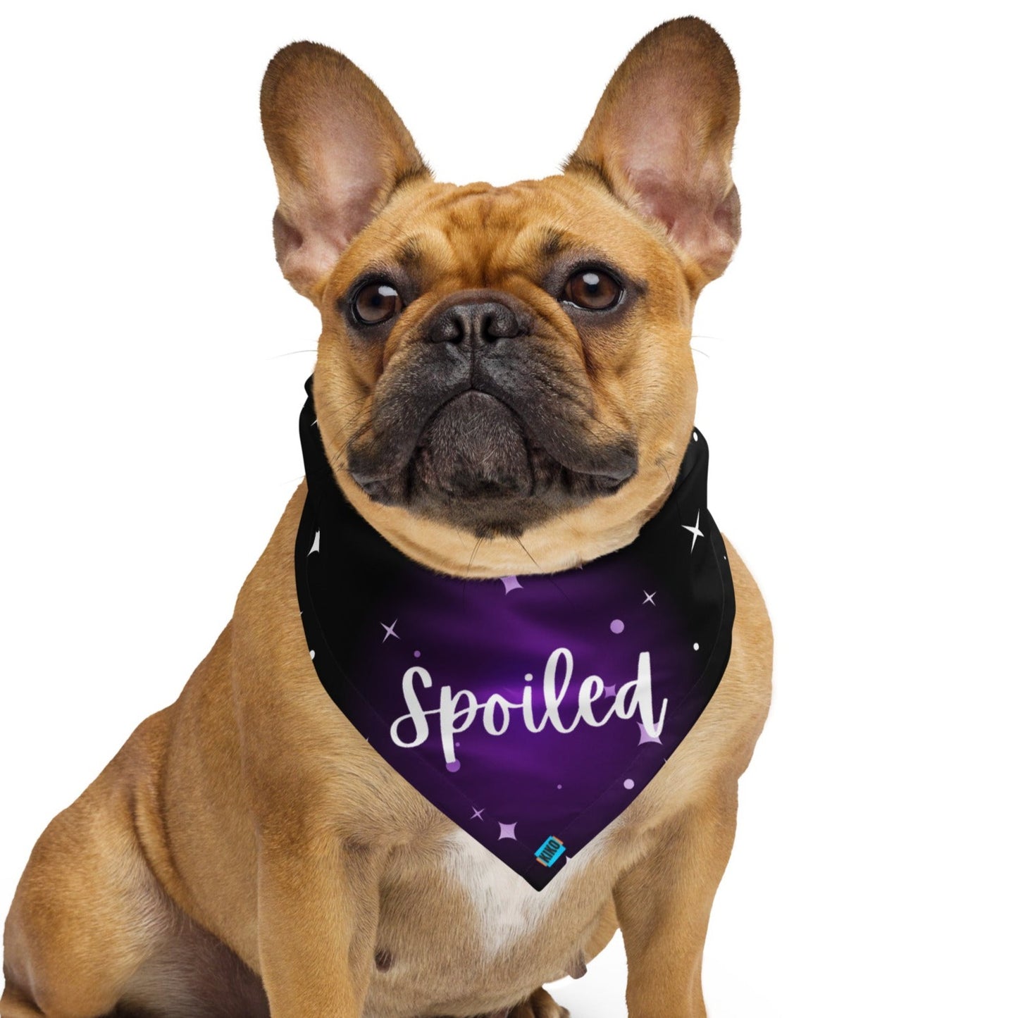 Spoiled Stars Black Bandana