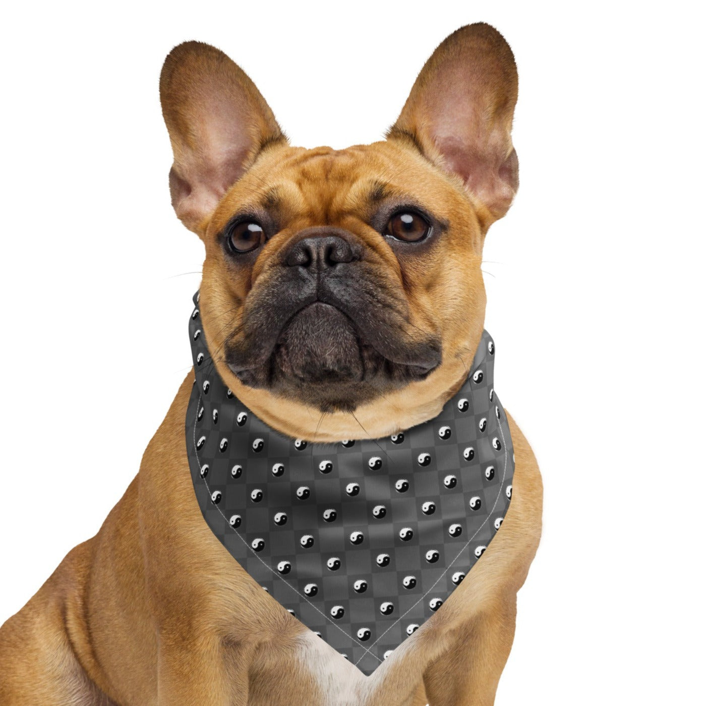 Yin Yang Gray Print Bandana