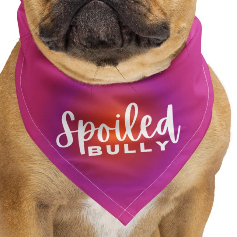 french bulldog wearing spoiled bully hot pink bandana