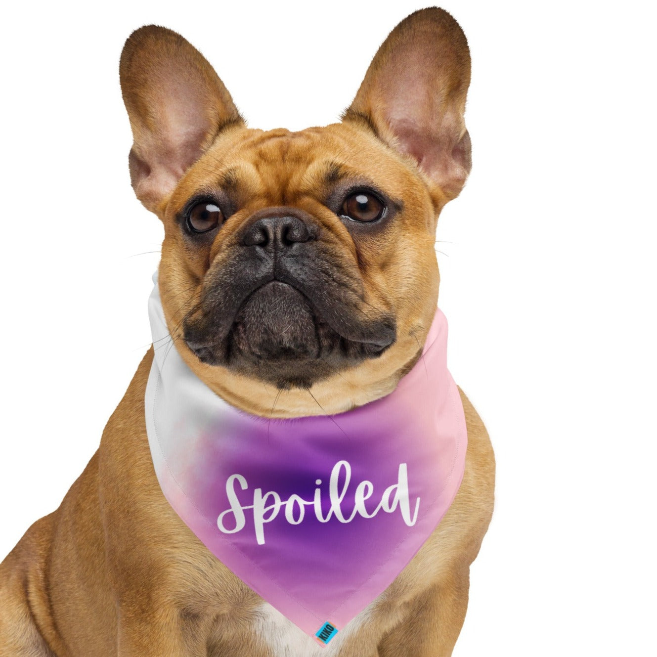 Spoiled Pink Turquoise Bandana