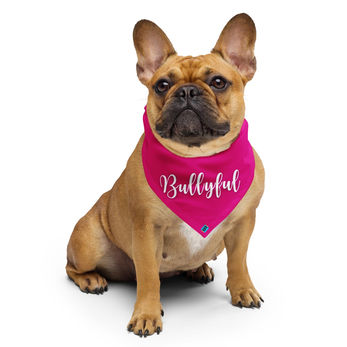 Hot Pink Bullyful Bandana