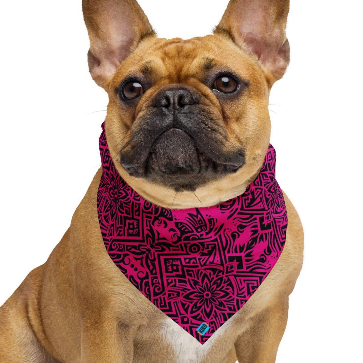 Hawaiian Print Hot Pink Bandana